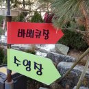 프러포즈 펜션 이미지