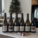 2020-주133 | Champagne Clement Leclere Minard 샴페인 클레망 르클레르 미나르 모임 후기 (3월 7일)