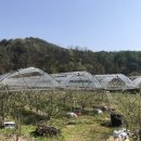 청구농장 이미지