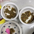 왕왕멍멍 | 애견 화식 추천 / 굽네 듀먼 자연화식 / 믿고먹이는 건강하고 행복한 식사시간 /내돈내고 구매한 찐후기