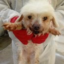 하북초등학교 이미지