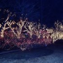 담배인삼공사 이미지