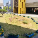 빛가람시립도서관 이미지