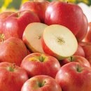 사과시험장 앞 이미지