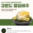 강원도절임배추내돈내산 만나다절임배추 고랭지절임배추 김장배추 강원도절임배추20kg후기