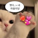 치얼스
