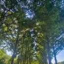 청년문화에비뉴 | 서울 가볼만한곳 서울숲 &amp; 언더스탠드 에비뉴