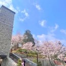 공영주차장(옥룡동) 이미지