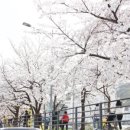 충훈동-1 이미지