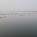 동방농장 이미지