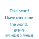 퐁낭아래 이미지