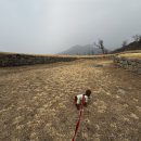 GS25 강화분오리점 | [강화도 애견동반 여행] 겨울 바다가 얼어붙은 신비로운 풍경, 해로와 함께한 반나절 나들이