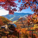 화개정원 관리사무소 이미지