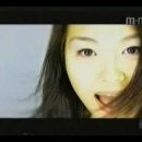 로단테(Rhodanthe) 이미지