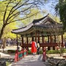 부안마트 주변 | 봄꽃 버스투어! 구례산수유·남원광한루·전주·부안