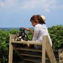 골목닭강정 이미지