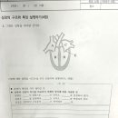 엠베스트SE배곧써밋올인원점학원