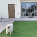 위클라드 커플 풀빌라 이미지