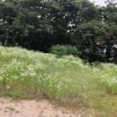 남양읍사무소 이미지