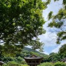 원명선원 석조여래좌상 | 영주고찰. 봉황산(822m) 부석사 Yeongju Sobaeksanmaek Bonghwangsan Mt. Buseoksa Temple.
