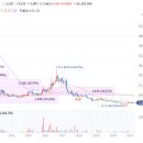 에이엔피코리아 이미지