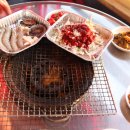 산호조개구이 이미지
