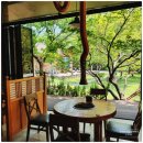 팔공산오리 이미지