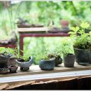 수월산방 이미지