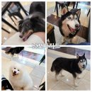 남포아지트 이미지