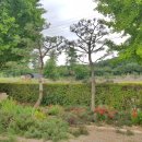 배울안농장 이미지