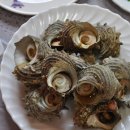 해녀민텔 이미지