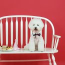 레젤프펜션 이미지