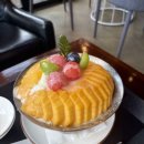 코코힐 | 원주 행구동 카페 망고 빙수 맛집 추천 코코힐 주차 내돈내산 후기