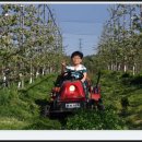 아름사과공원 이미지