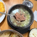 별하 | [대전 집밥 맛집] 유성 덕명동 '우리집' - 점심식사로 딱 좋은 국밥 맛집!