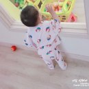 아리꼬까