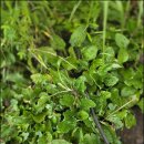 질경이농장 | 자다가 소변 때문에 자주 깨는 성인, 이유는?