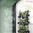 콜라보 협동조합 이미지