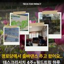 은행파출소 | 임팩트 캠퍼스 크리에이터] 백날 찾아봐도 못 찾은 게 하루 만에 나왔다? 청도 다로리 2차 필드트립 후기
