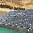 미숙 태양광 이미지