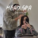 노크 | 경성대헤드스파 노크헤어 방문 후기 두피마사지, 아로마테라피