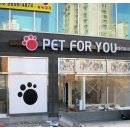pet for you 이미지