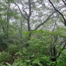 동화천1 이미지