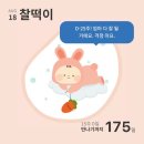 연츠 | [임신15주] 임신15주 배크기, 감사한 소소한 일상들