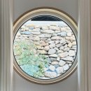 스테이치목 이미지