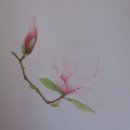 꽃그림 색연필화 이미지