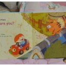 Hello Kitten 이미지