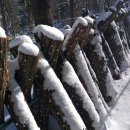 솔안농장 이미지