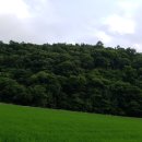 적량면사무소 이미지