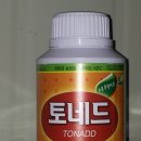 동운수산 | 애호박 농사 대량 생산 방법